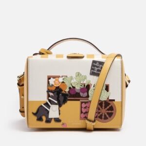 Radley London Small Leather Grab Satchel Bag